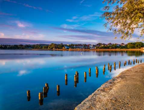 Estate & Letting Agents In Lilliput